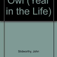 Owl (Year in the Life)