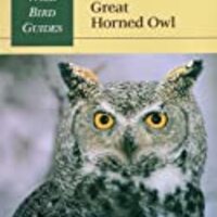 Wild Bird Guide: Great Horned Owl (Wild Bird Guides)