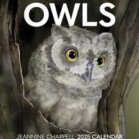 Owls: Jeannine Chappell 2025 Wall Calendar