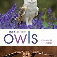 RSPB Spotlight Owls