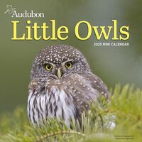 Audubon Little Owls Mini Wall Calendar 2025: A Year of Fluffy and Round Owls