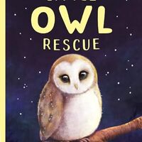 Little Owl Rescue (Little Animal Rescue)
