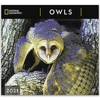National Geographic Owls 2021 Wall Calendar