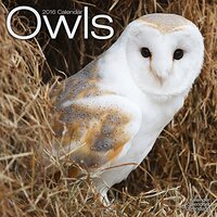 Owls Calendar - 2016 Wall calendars - Animal Calendar - Monthly Wall Calendar by Avonside