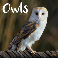 2025 Owls Wall calendar