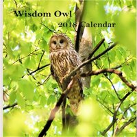 Wisdom Owl 2018 Calendar: Owl 2018 Monthly Calendar