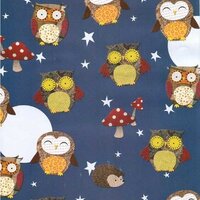 Owl Rolled Gift Wrapping Paper 2 Sheets of 20 in x 27.5 in
