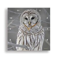 3dRose DPP_21195_3 Barred Owl Wall Clock, 15 by 15-Inch