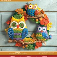 Bucilla Felt Applique Wall Hanging Kit, 17 by 17-Inch, Owl Wreath