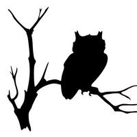 Diamond Graphics Owl on Branch (4" X 4") Die Cut Decal Bumper Sticker for Windows, Cars, T
