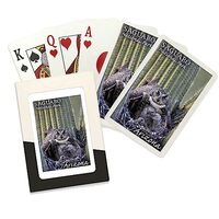 Lantern Press Saguaro National Park, Arizona, Owl and Babies (52 Playing Cards, Poker Size Card Deck