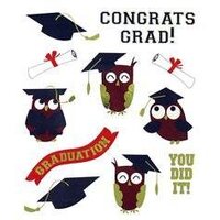 2 Sheets - Graduation Owls Stickers