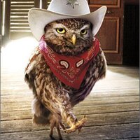Cowboy Owl - Avanti Funny Birthday Card