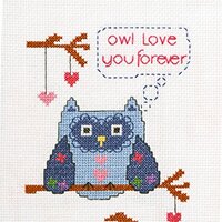 Bucilla 1st, Counted Cross Stitch Kit, Owl Love You Forever , Finished Size 5 7-Inch