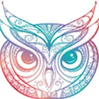 Beautiful Rainbow Ombre Henna Pattern Owl Drawing Vinyl Decal Sticker (8" Wide)