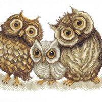 Counted Cross Stitch Kit Family of owl