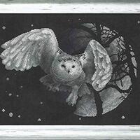 PANNA - Counted Cross Stitch Kit - White Owl - J-0359-14 Count - Aida Black - 10.63 x 14.17 inch - D