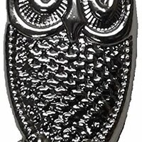 Aquinas Eagle Wood Badge Owl Pin, Silver, Small