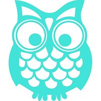 Hoot Owl Vinyl Decal Sticker | Cars Trucks Vans Walls Laptops Cups | Light Blue | 5.5 in | KCD894LBL