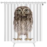 Mugod Little Owl Shower Curtain 50 Days Old Athene Noctua Standing Looking at Camera Brown Shower Cu