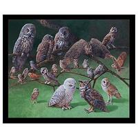 Owls of North America 24in Owl Panel Black Quilt Fabric