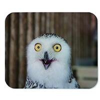 Yeuss Snowy Owl Mouse Pad Rectangular Non-Slip Mousepad, Close Up Snowy Owl Eye with Wooden Gaming M