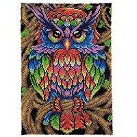 MIAOLLUN Latch Hook Rug Kits for Adults, Colorful Owl with Preprinted Canvas Pattern DIY Carpet Tape