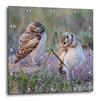3dRose Wall Clock Silent - 13 inch - USA, WY. Two Young Burrowing Owls Stand at The Edge of Their Bu