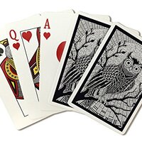 Lantern Press Owl, Coloring Book (52 Playing Cards, Poker Size)