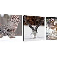 NAN Wind Owl Canvas Wall Art Owl Decor Predator Pictures on Canvas Wall Art for Home Office Decorati