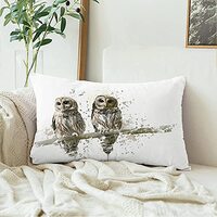 Velvet Decorative Rectangle Throw Lumbar Pillow Cover Young Digital Painting Barred Owl Owls Animals