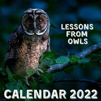Lessons From Owls Calendar 2022: September 2021 - December 2022 Monthly Planner Mini Calendar With I