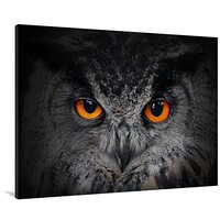Eorntdy Canvas Wall Art Orange Eye Black Owl Canvas Print Artwork Black Birds Animal Wall Art Painti