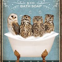 Funny Owl Decor Vintage Bathroom and Bathtub Metal Tin Sign Decor Owl Pet lovers Gift Farm Home Bar 