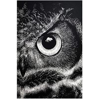 Eorntdy Canvas Wall Art Owl Eyes Canvas Print Artwork Black And White Animals Wall Art Paintings Mod
