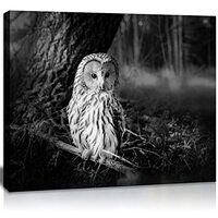 Black and White Owl Canvas Wall Decor Bird Artwork, Wild Animal Owls on Branch Forest Night Landscap