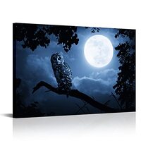 Animal Canvas Wall Art Owl on the Tree Branch Picture Painting Full Moon Night View Artwork Prints M
