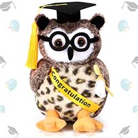 Aoriher Graduation Plush Stuffed Animal 2024 Owl Cute Stuffed Owl Plush Toy Dress up with Tassel Gra