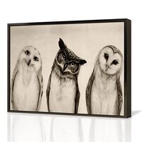 Canvas Wall Art Three Owls Black Framed Canvas Print Artwork Bird Modern Wall Art Paintings for Livi