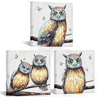 HOMEOART Owl Wall Decor Animal Wall Art Owl Pictures Rustic Home Decor Framed Artwork for Walls 12x1