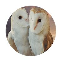 Gaming Mouse Pad 8x8 Inch Non-Slip Rubber Circular Mouse Pads (Barn Owls Lover)