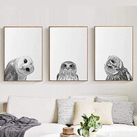 Owl Canvas Wall Art for Nursery Wild Animal Poster Black and White Owl Picture Funny Animal Canvas P