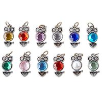Bead Landing 12 Packs: 12 ct. (144 total) Charmalong™ Multicolored Owl Charms
