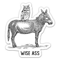 Wise Ass Stickers - 2 Pack of 3" Stickers - Waterproof Vinyl for Car, Phone, Water Bottle, Lapt