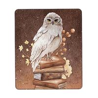 Magical Owl Premium Mouse Pad Desk Mat Computer Mouse Pad Hard Mouse Pad Surface for Control & A