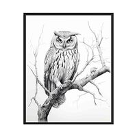 Owl Art Prints Posters, Black and White Photography Wall Art, Wildlife Safrai Jungle Nature Inspired
