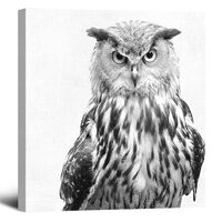 OOLAHLAH Black and White Owl Canvas Wall Decor Wild Animal Owls Picture Prints Poster Rustic Bird Ho