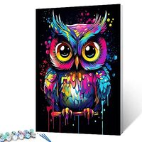 Tucocoo Graffiti Owl Paint by Number for Adults, DIY Digital Oil Painting Kits on Canvas with Brushe