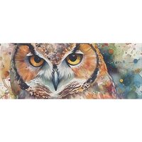 DNOVING 2 Rolls Owl Birthday Wrapping Paper - 58 x 23 inch Gift Wrapping Paper for Boys & Girls 