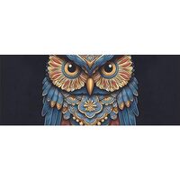 DNOVING 2 Rolls Mysterious owl Birthday Wrapping Paper - 58 x 23 inch Gift Wrapping Paper for Kids B
